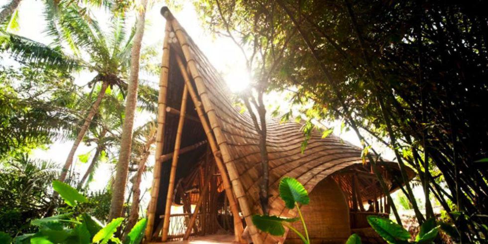 man nhan voi nhung can nha cay dep xuat sac, uoc mo tuoi tho cua moi dua tre - 12