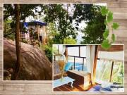 Nhà đẹp - Bỏ phố lên rừng, vị đạo diễn tự tay xây nhà gỗ đẹp ngỡ ngàng giữa đại ngàn, biển khơi
