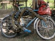 Nhà đẹp - Cạn lời trước ngàn lẻ một kiểu chống trộm bá đạo đến trộm cũng xin quỳ