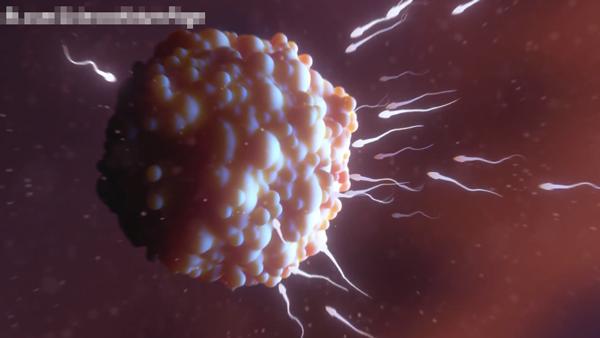 amp;#34;3 phút nói hết cuộc sống thai nhi 9 tháng 10 ngàyamp;#34; hút hơn 66 triệu lượt xem - 2