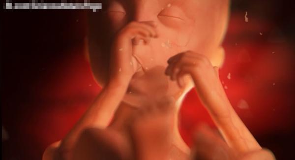 amp;#34;3 phút nói hết cuộc sống thai nhi 9 tháng 10 ngàyamp;#34; hút hơn 66 triệu lượt xem - 3