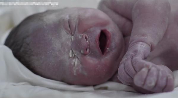 amp;#34;3 phút nói hết cuộc sống thai nhi 9 tháng 10 ngàyamp;#34; hút hơn 66 triệu lượt xem - 4