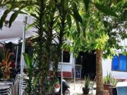 Tin tức - Vụ bà chủ nhà nghỉ bị sát hại: "Phi công" khai người tình có người khác