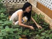 Giải trí - Thuỷ Tiên khoe vườn rau nhà trồng, ăn không hết còn đem bán được 190 nghìn đồng