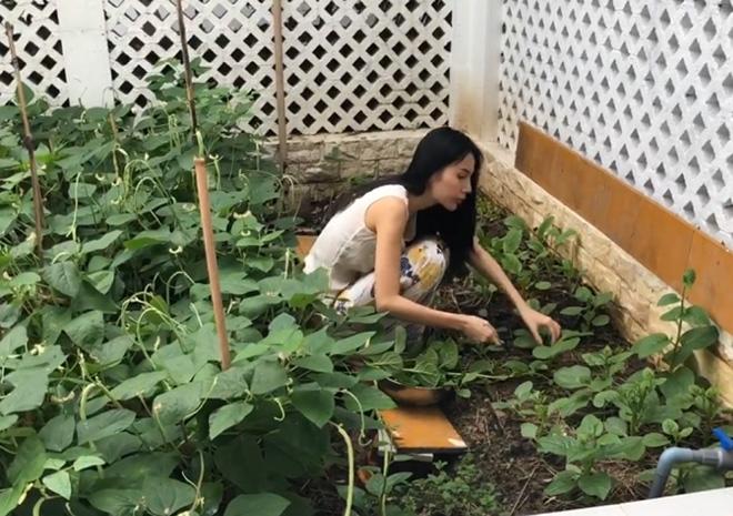 Thuỷ Tiên khoe vườn rau nhà trồng, ăn không hết còn đem bán được 190 nghìn đồng - 1