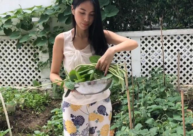 Thuỷ Tiên khoe vườn rau nhà trồng, ăn không hết còn đem bán được 190 nghìn đồng - 3