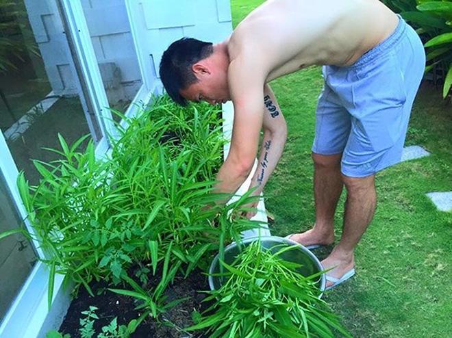 Thuỷ Tiên khoe vườn rau nhà trồng, ăn không hết còn đem bán được 190 nghìn đồng - 6