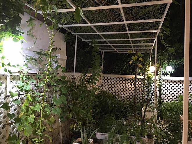 Thuỷ Tiên khoe vườn rau nhà trồng, ăn không hết còn đem bán được 190 nghìn đồng - 4