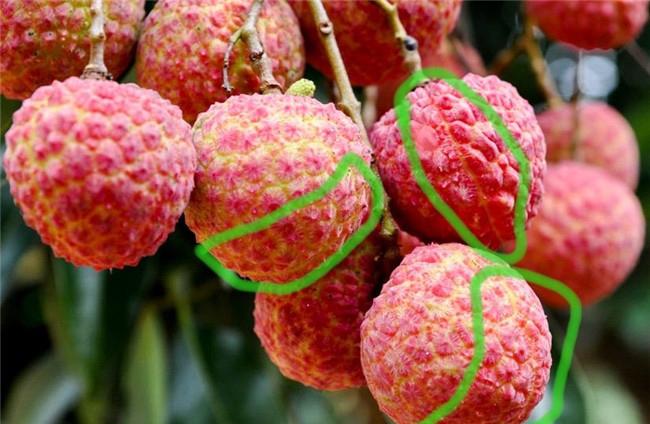 Chàng trai mách cách bóc vải nhanh trong chớp mắt, dân mạng người khen mới mẻ, kẻ chê hết lời - 2