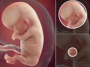 Bà bầu - Thai nhi 11 tuần tuổi: Học nuốt