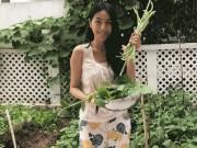 Nhà đẹp - Fan "phát thèm" vì Thủy Tiên khoe vườn rau xanh mướt, phải mang bán bớt vì quá được mùa