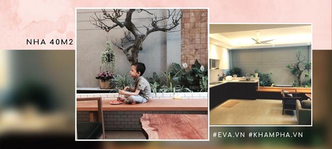 nha 40m² cua vo chong ha noi gay ngac nhien vi rong nhu tram m², co vuon nho sai triu - 1