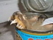 Ngon-bổ-rẻ - Đến Nga xem World cup, thực khách phát hoảng với những món ăn kinh dị chẳng ai dám nuốt