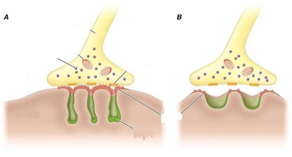Nữ sinh viên “ngã ngửa” khi bác sĩ thông báo mắc bệnh suýt chết vì một thói quen... lành mạnh - 2