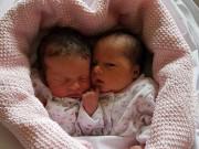 Bà bầu - Hiếm muộn 10 năm, đôi vợ chồng già mất cả "núi tiền" để có cặp song sinh