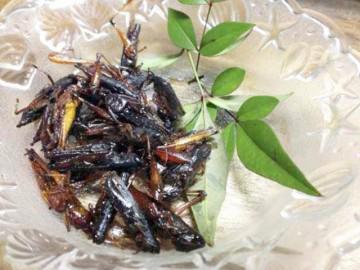 Cửa hàng chuyên phục vụ món ăn khiến thực khách vừa nhìn đã chạy mất dép