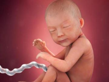 Thai nhi 30 tuần tuổi: Mẹ dễ mệt mỏi, cáu giận