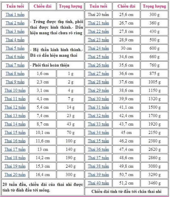 Chăm sóc mẹ bầu ở tuần thai 36