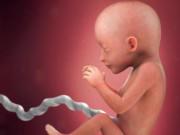 Bà bầu - Thai nhi 19 tuần tuổi: Chất sáp phủ màu trắng hình thành trên da