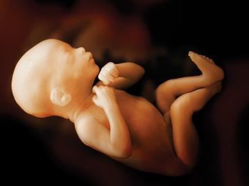 Kích thước thai nhi theo tuần mẹ bầu nên theo dõi thường xuyên