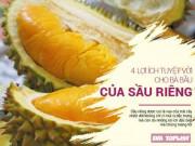 Bà bầu - Bốn lợi ích tuyệt vời từ sầu riêng bà bầu nào cũng ngạc nhiên khi biết