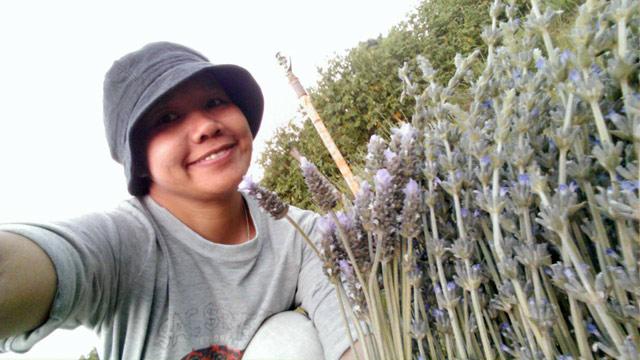 co thac si bo pho len rung lam nong dan, cuoc dat trong hoa cho thoa dam me - 3