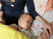 Làm mẹ - Nhật ký đầy nước mắt của người cha hiến tủy cứu con ung thư máu