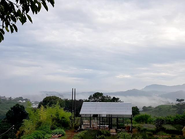 co thac si bo pho len rung lam nong dan, cuoc dat trong hoa cho thoa dam me - 15