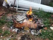 Bếp Eva - Được rủ sang nhậu xem World cup, thanh niên “hết hồn” vì lợn quay còn nguyên cả bộ lòng