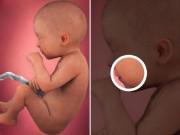 Thai nhi 31 tuần tuổi: Bé làm mẹ mất ngủ