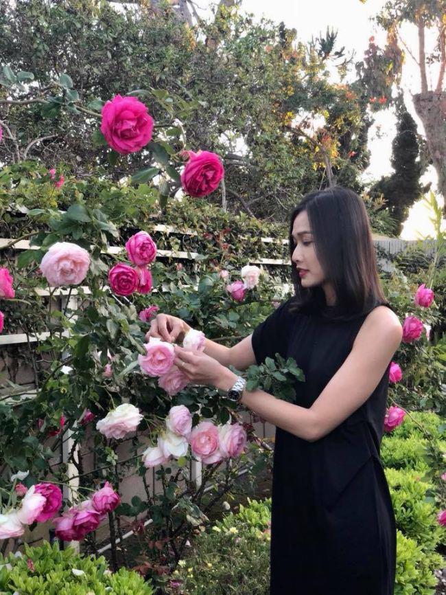 Tình cũ Bằng Kiều khoe khu vườn ngập hoa hồng và cây ăn quả sai trĩu trên đất Mỹ - 1