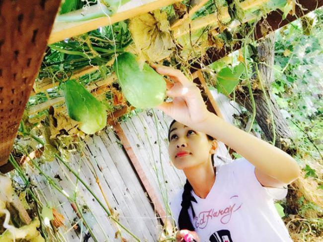 Tình cũ Bằng Kiều khoe khu vườn ngập hoa hồng và cây ăn quả sai trĩu trên đất Mỹ - 8