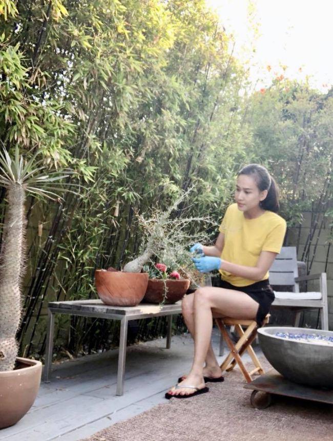 Tình cũ Bằng Kiều khoe khu vườn ngập hoa hồng và cây ăn quả sai trĩu trên đất Mỹ - 10