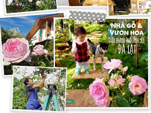 Vì con gái nhỏ, ông bố 8X dốc sức xây nhà gỗ, làm vườn hoa 4000m² giữa lòng Đà Lạt