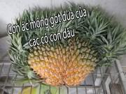 Bếp Eva - Dân mạng khoe quả độc nhà trồng, đúng là đi khắp thế gian không đâu bằng trái cây Việt Nam