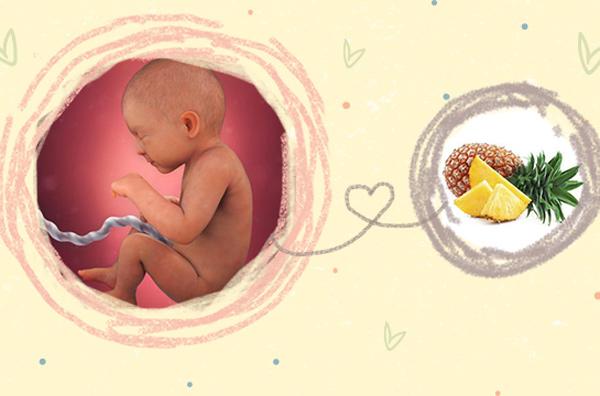 Thai nhi 33 tuần tuổi: Da hết nhăn nheo - 2