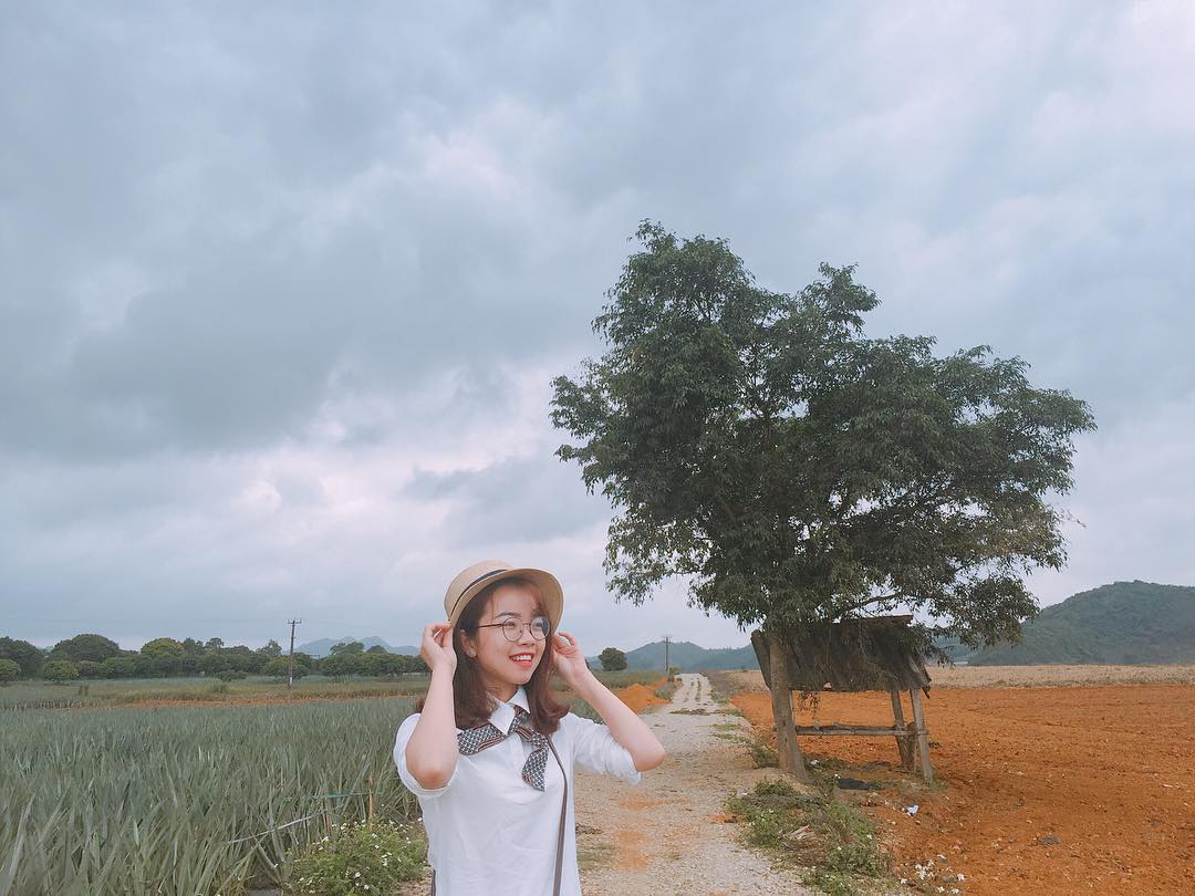 Đồi dứa amp;#39;xanh ngát xanhamp;#39; giữa núi non trùng điệp ở Ninh Bình - 3