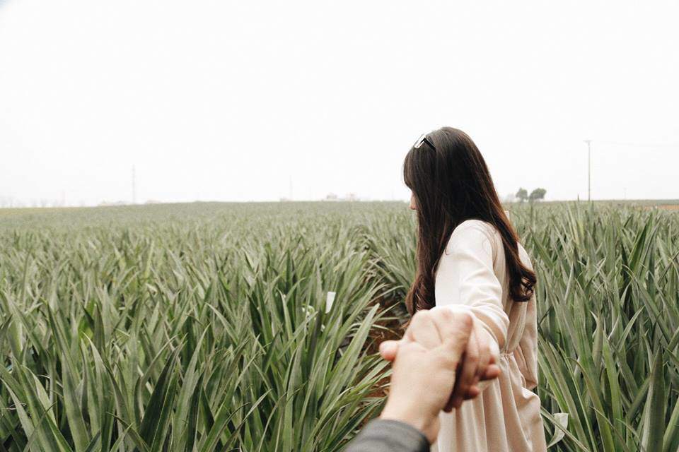 Đồi dứa amp;#39;xanh ngát xanhamp;#39; giữa núi non trùng điệp ở Ninh Bình - 4