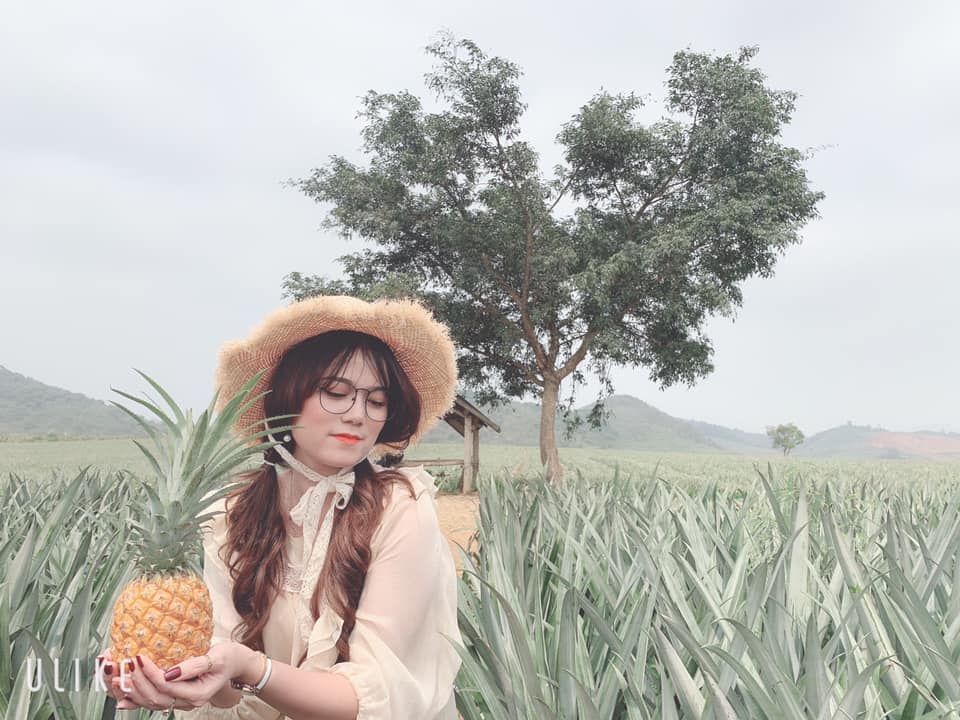 Đồi dứa amp;#39;xanh ngát xanhamp;#39; giữa núi non trùng điệp ở Ninh Bình - 7