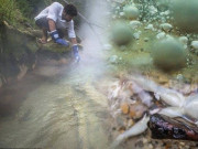 Xem ăn chơi - Kì lạ dòng sông “luộc chín” sinh mọi vật chỉ trong vài phút