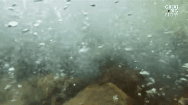 Kì lạ dòng sông “luộc chín” sinh mọi vật chỉ trong vài phút - 8