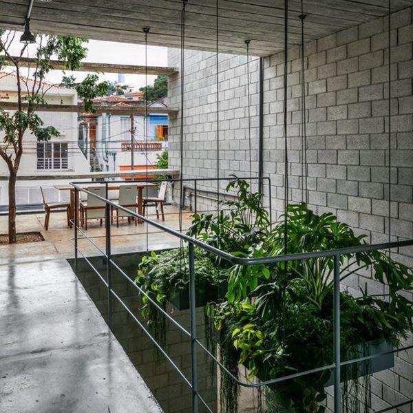 Ngôi nhà xây trên mảnh đất hẹp và dài nhưng tràn ngập cây xanh - 6