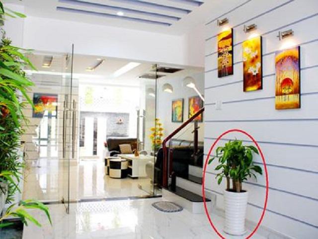 7 mẹo phong thủy giúp chiêu tài, nhà giàu không bao giờ nói cho bạn