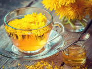 Sức khỏe - Cây bồ công anh và những điều có thể bạn chưa biết