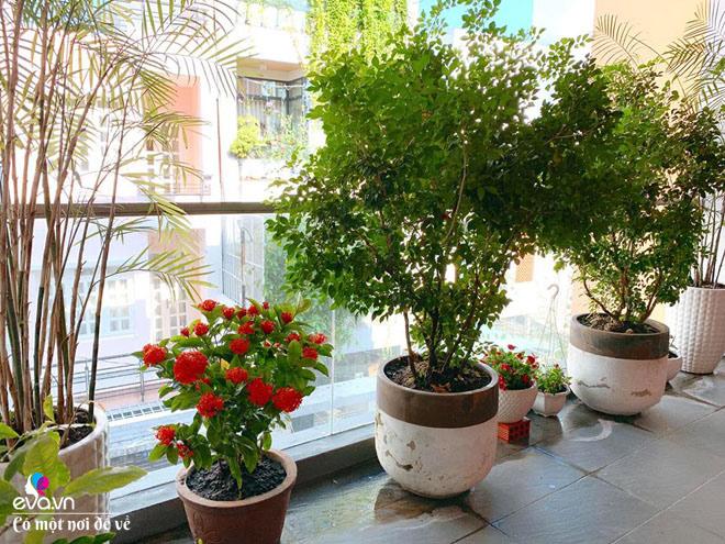 Cùng là mẹ bỉm sữa, em gái Quang Vinh gây sốt với nhà 500m2 sạch như không có trẻ con - 19