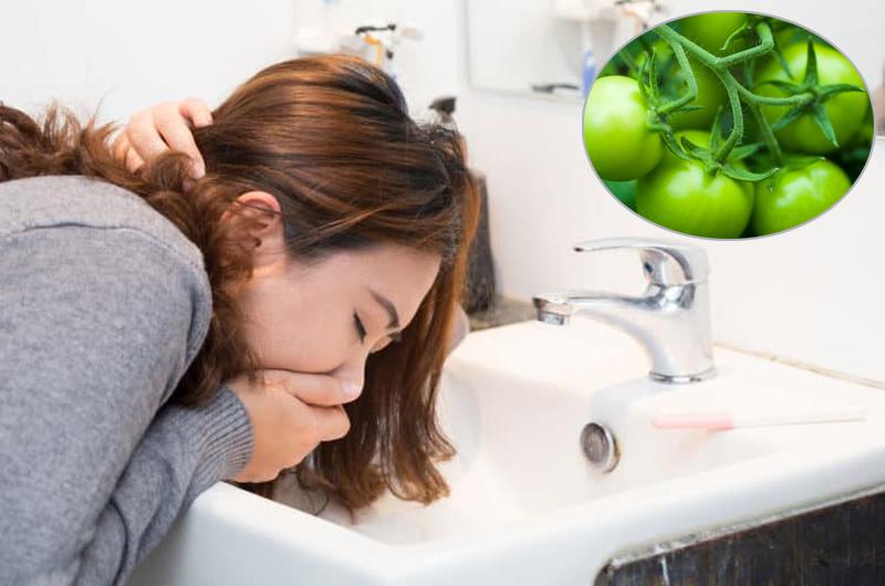 Khi ăn cà chua xanh vào bạn sẽ bị ngộ độc với với các triệu chứng đắng chát cổ họng, sùi bọt mép, mệt mỏi, buồn nôn và nôn,…
