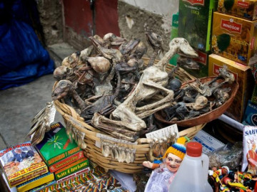 Hàng ngàn xác và bào thai khô được bày bán công khai tại khu chợ độc dị nhất thế giới