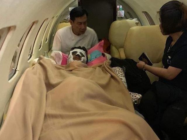 Tin tức 24h: Việt kiều Canada sau 2 tháng bị tạt axit, cắt gân chân giờ ra sao?