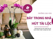 Clip Eva - Tăng may mắn, hút tài lộc cho toàn gia chỉ nhờ một lọ hoa để trong nhà