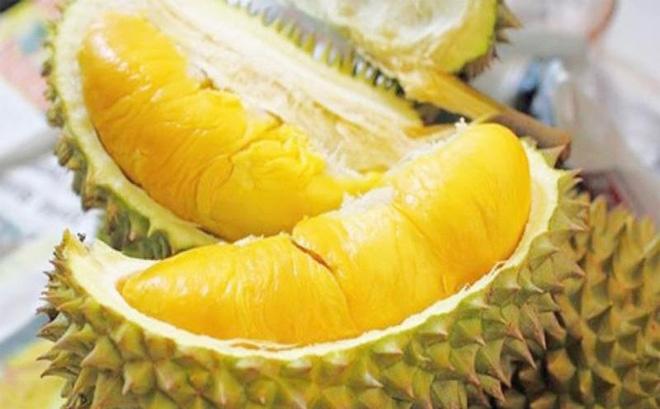 Chọn sầu riêng đừng dựa vào kích cỡ, chọn theo quả đực, cái mới chuẩn - 1